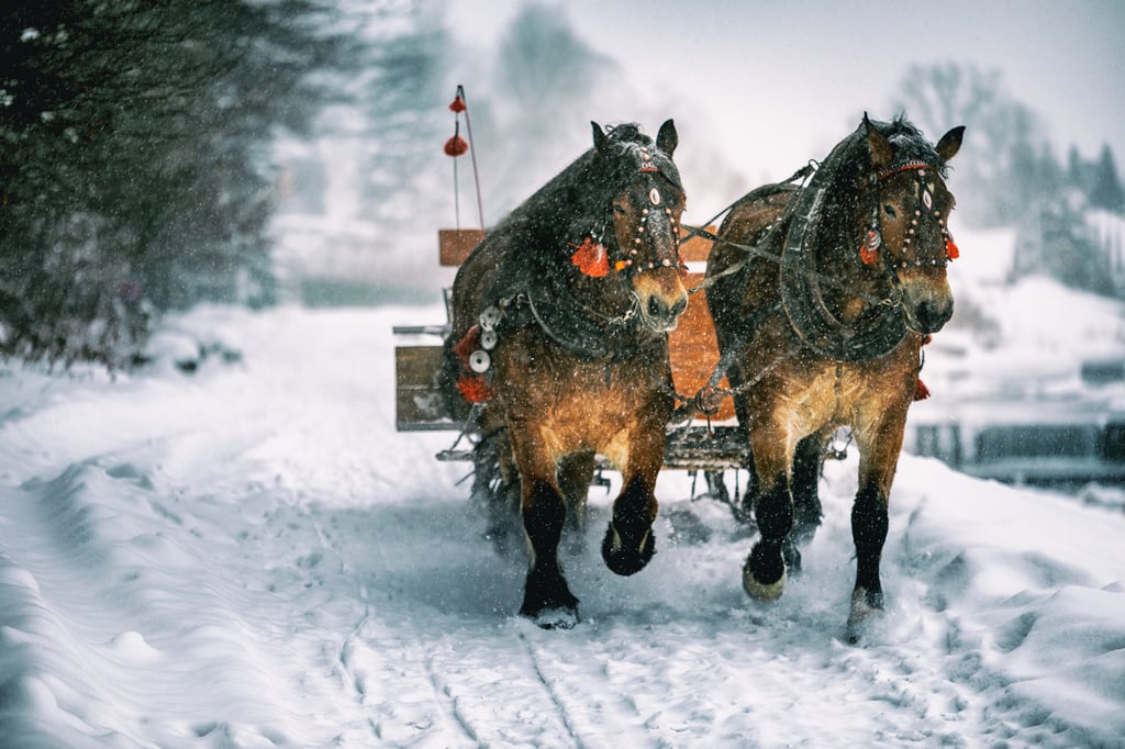 Carruaje tirado por caballos con trineo en un invierno nevado