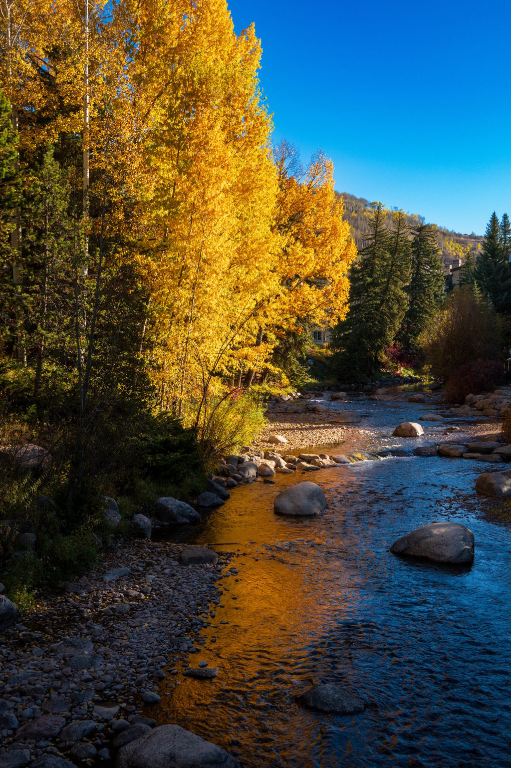 Senderismo otoñal en Vail creek