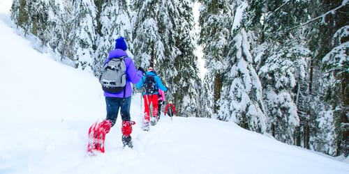 Outing with friends with snowshoes after heavy snowfall