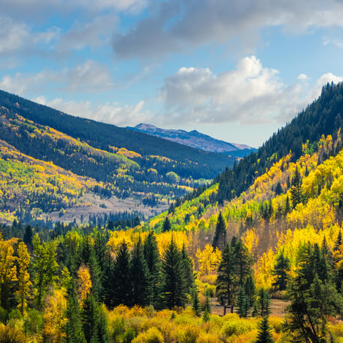 Otoño Vail Colorado Montaña