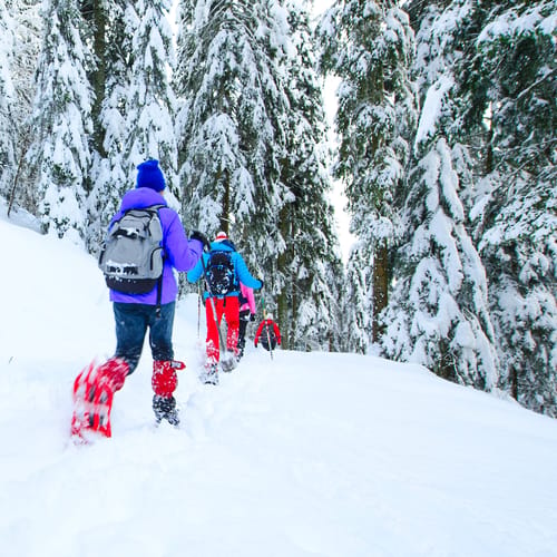 Outing with friends with snowshoes after heavy snowfall
