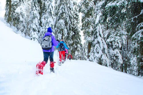 Outing with friends with snowshoes after heavy snowfall