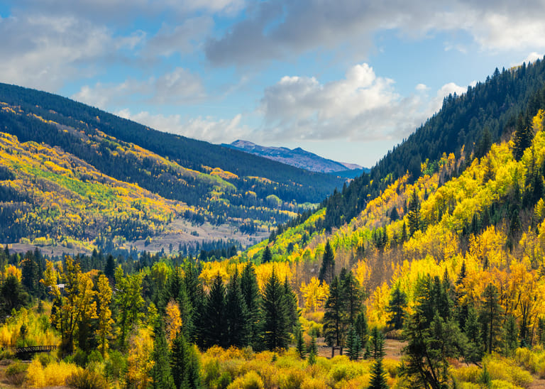 Fall Autumn Vail Colorado Mountain